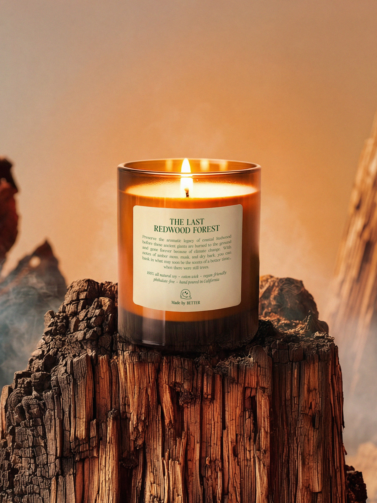 Nearly Gone Candle Co. - The Last Redwood Forest Candle