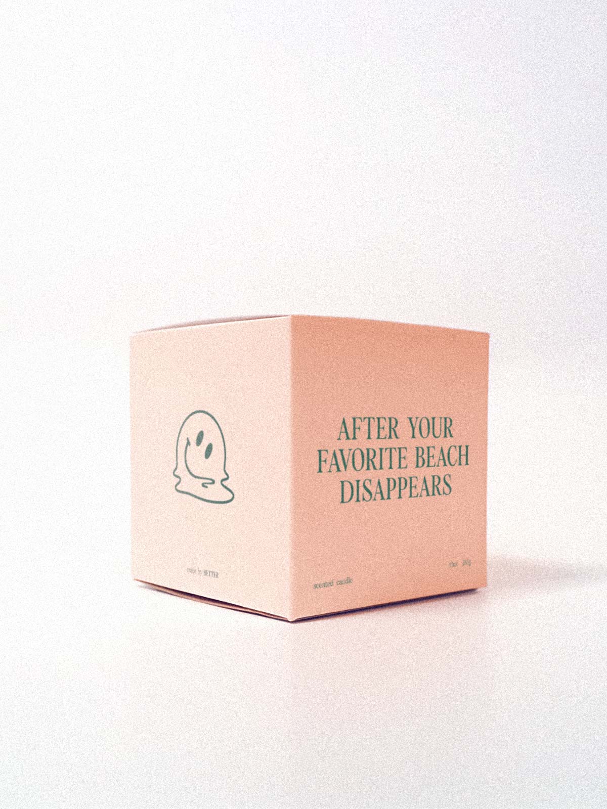 Nearly Gone Candle Co. - After Your Favorite Beach Disappears Candle