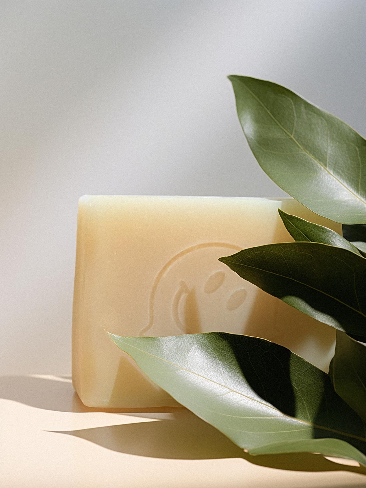 GREENWASH 1.0 - Soap Bar